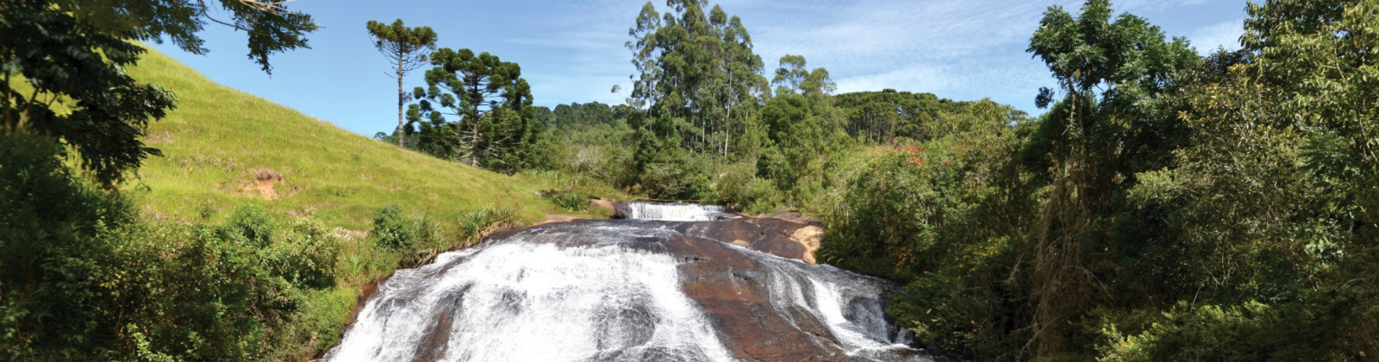 Banner - Cachoeira